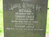 image of grave number 316752